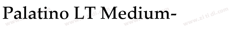 Palatino LT Medium字体转换